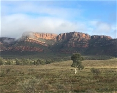 �K���̓I�[�X�g�����A�ɂ������I