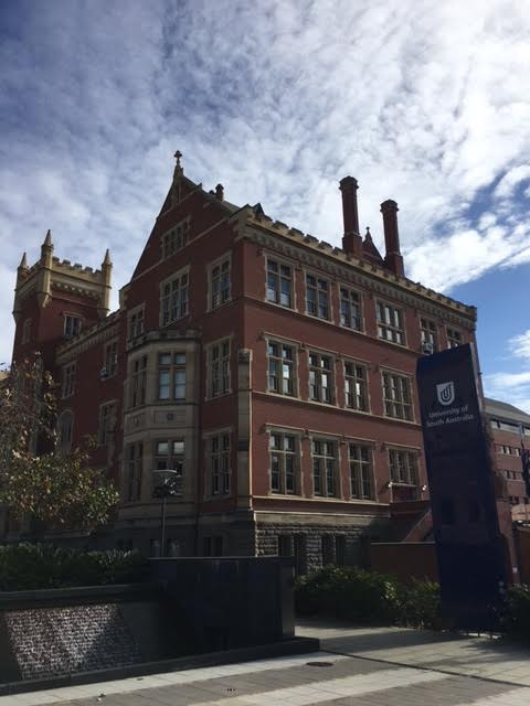 �C�O���w��ڎw��