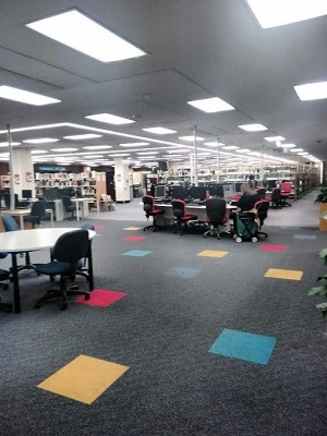 �C�O���w��ڎw��